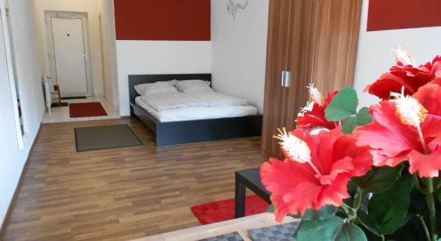 Apartment Beethoven, Забронировать Апартаменты/квартира Апартаменты Регенсбурга, рядом с Thurn und Taxis Palace, Апартаменты/квартира