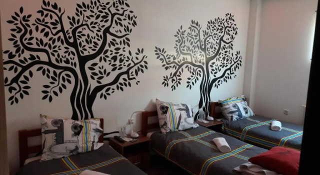 Двухместный номер Deluxe Hostel IN Club