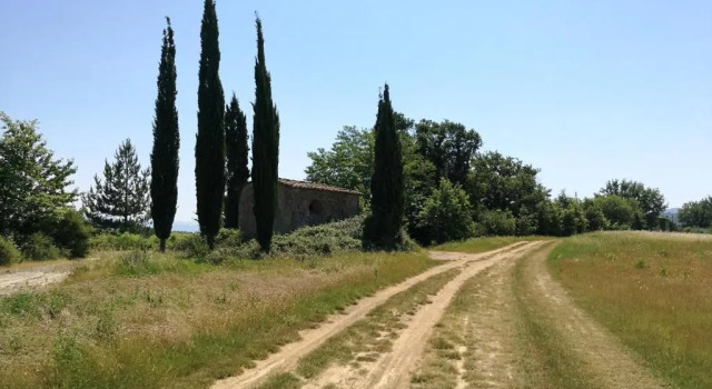 Апартаменты Attico a Barberino di Mugello