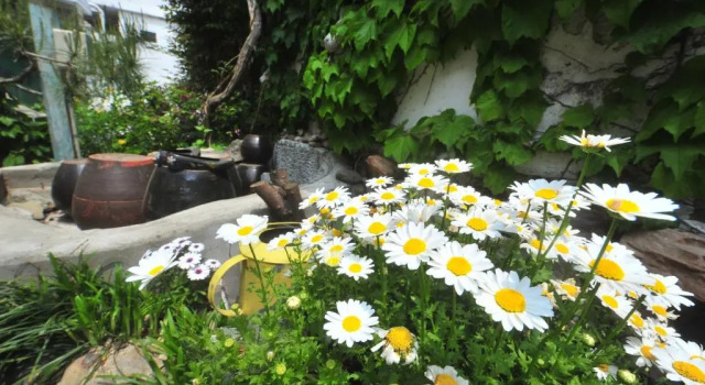 Коттедж Haengjin Guesthouse