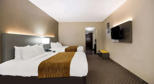 Люкс c 1 комнатой Comfort Inn & Suites Midway - Tallahassee West