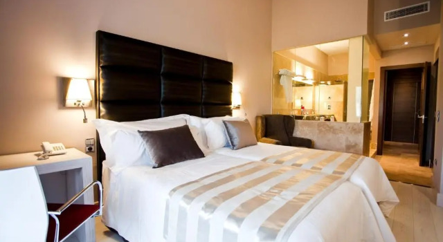 Двухместный номер Superior Hotel & Winery Señorío de Nevada