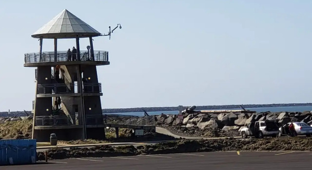 Четырёхместный номер Standard Islander Westport