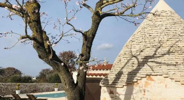 Номер Standard i Trulli del Fauno