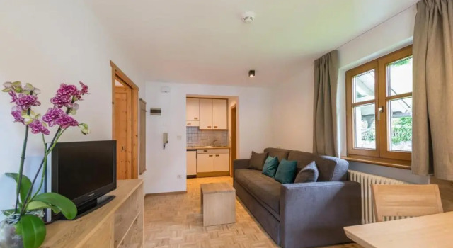 Апартаменты c 1 комнатой Residence Edelweiss