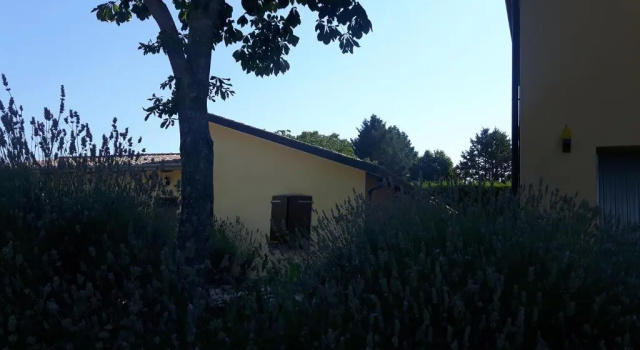 Двухместный номер Standard с красивым видом из окна Agriturismo La Selva