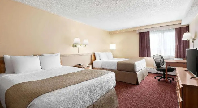 Номер Standard Quality Inn & Suites