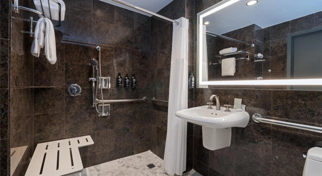 Номер Mobility Accessible Hearing Accessible Deluxe The Sam Houston, Tapestry Collection by Hilton