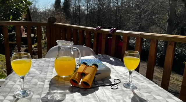 Шале Superior с видом на сад Ericht Holiday Lodges