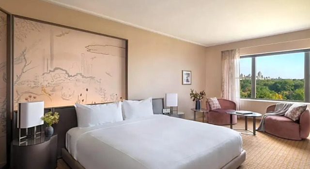 Двухместный номер с видом на парк Park Lane New York