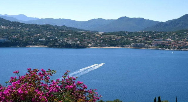 Номер Standard Villa Vetricella Corse Sud