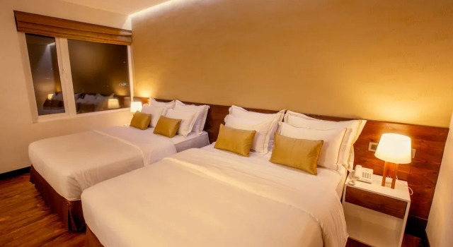 Двухместный номер Deluxe с видом на город Sevana City Hotel