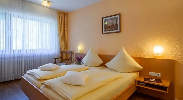 Номер Standard Waldhotel Sonnenberg