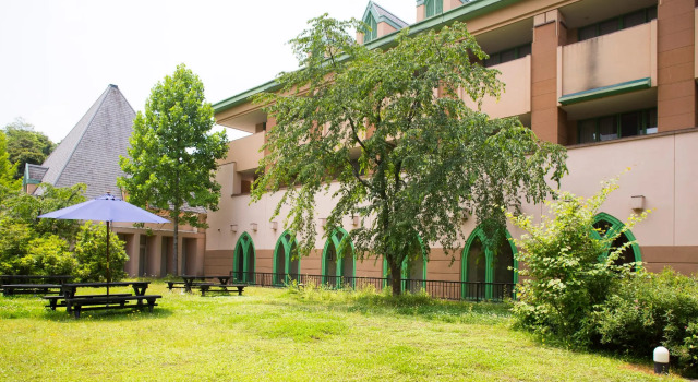 Номер Standard Hotel Tango Kingdom