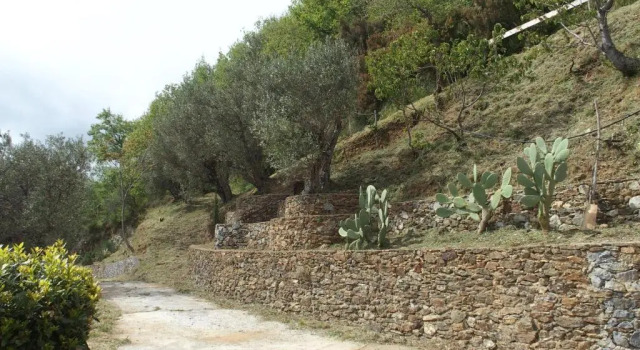 Villa, Book Villa Hoteller i Nocera Terinese med parkering, Parkering