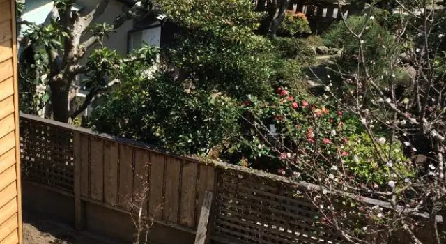 Кровать в общем номере Guest House Kamakura Zen-ji