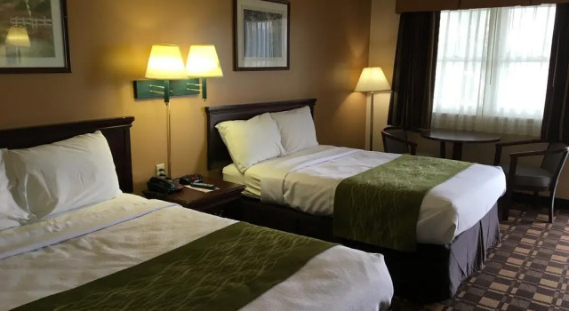 Четырёхместный номер Standard Cabot Inn & Suites