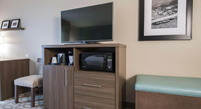 Четырёхместный номер Standard Hampton Inn Greenville/I-385 Haywood Mall, SC