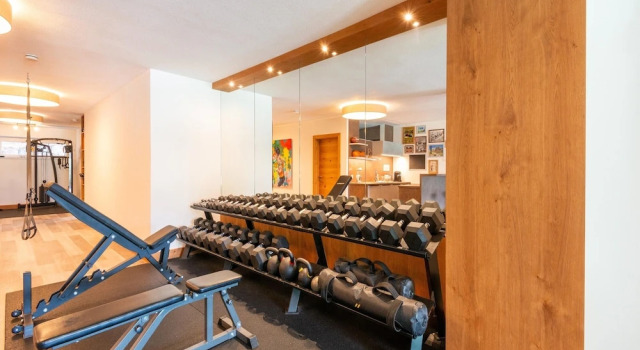 Апартаменты Premium Apartments im Zillertal