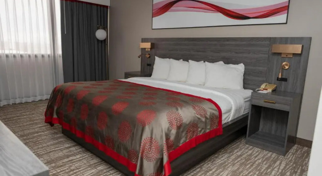 Standard Zimmer Ramada Cedar Rapids