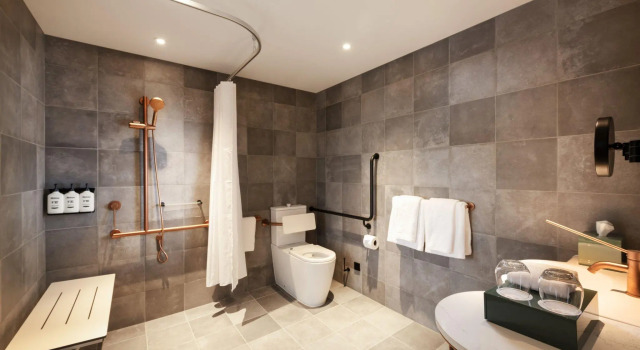 Номер Standard Hotel Indigo Adelaide Markets by IHG