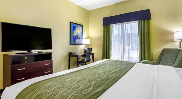 Люкс Comfort Inn Athens I - 75