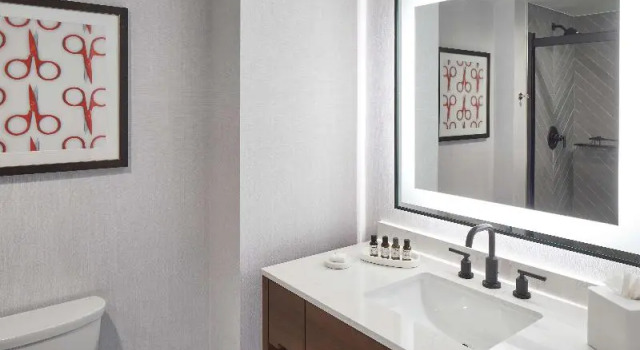 Шестиместный номер Standard Cumberland House Knoxville, Tapestry Collection by Hilton