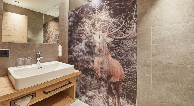 Номер Deluxe Hotel Hubertushof