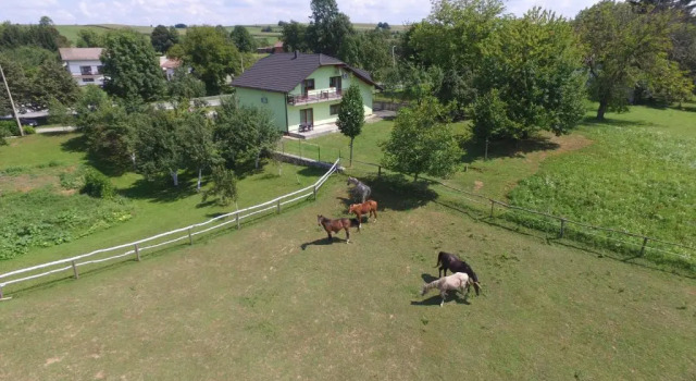 Green apartment Plitvice, Rezerwuj Apartament Hotele w Karlovac county z parkingiem, Parking