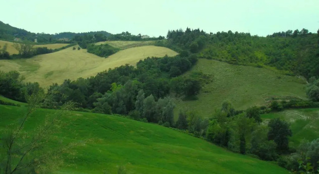 Апартаменты Дуплекс с 2 комнатами Agriturismo Cà Ferro