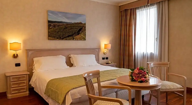 Номер Superior Hotel Roxy Plaza