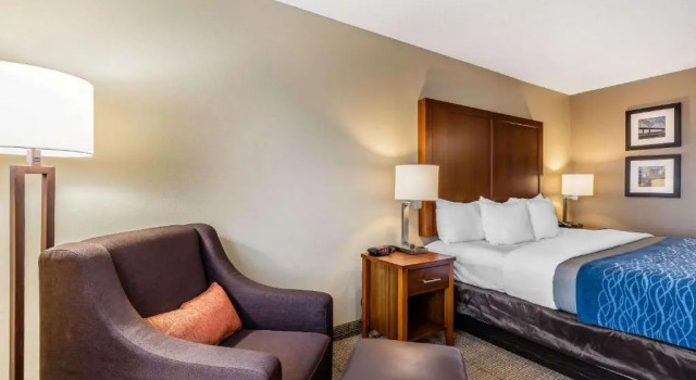 Номер Standard Comfort Inn & Suites Airport-American Way