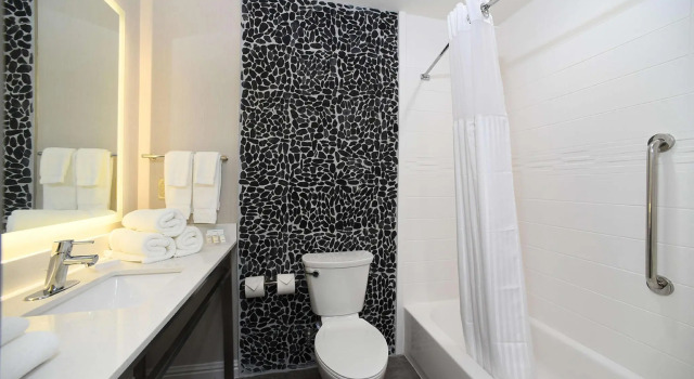 Четырёхместный номер Standard Hilton Garden Inn Jacksonville