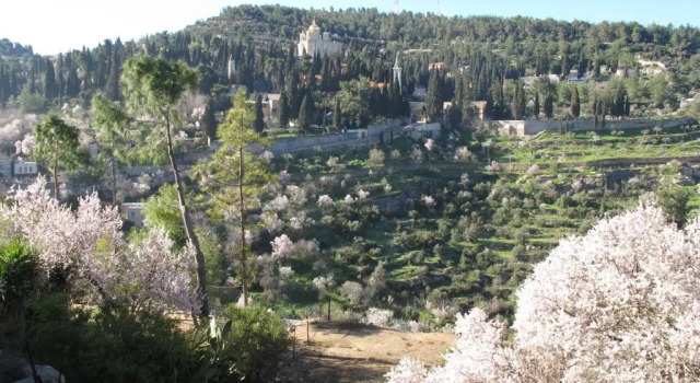 Коттедж The Nest - A Romantic Vacation Home in Ein Kerem - Jerusalem