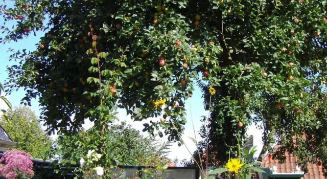 Guesthouse Villa de Bakkerij, Rezervovat Vila Hotely v Moddergat s parkováním, Parkování