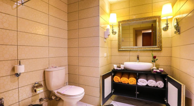 Двухместный номер Family Charmillion Club Aquapark