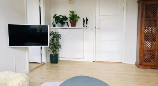 Апартаменты CPH Central apt / 60m2