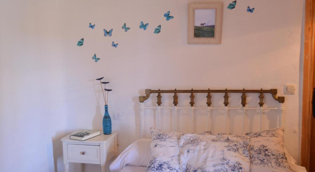 Одноместный номер Standard Hostal Refugio De Gredos
