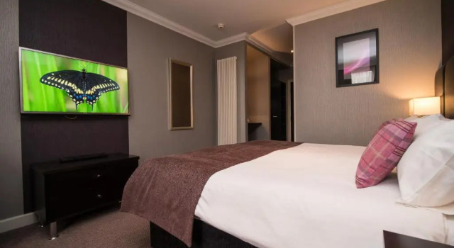 Двухместный номер Executive Palace Hotel