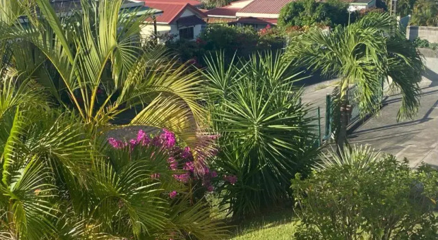 Апартаменты Les Hibiscus