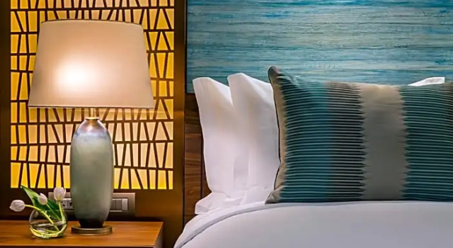 Номер Deluxe The Ritz-Carlton, Santiago