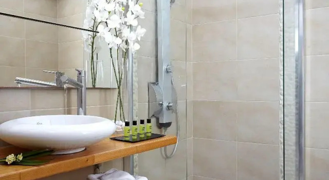 Номер Standard Callia Retreat Suites