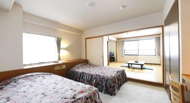 Двухместный номер Standard с красивым видом из окна Hotel Selan