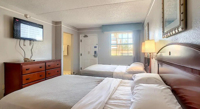 Четырёхместный номер Standard Stayable Jacksonville North