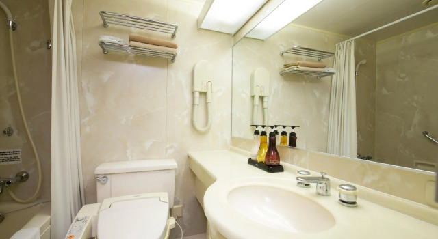 Двухместный номер Standard Skypark Hotel In Kurumayama