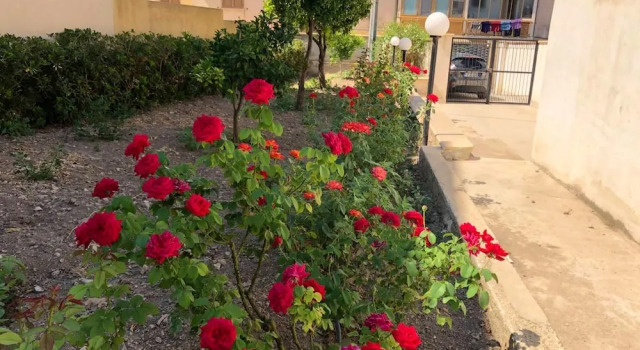 Apartment with 3 Bedrooms in Noto, with Furnished Terrace And Wifi - 6 Km From the Beach