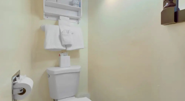 Двухместный номер Economy The Palms Hotel
