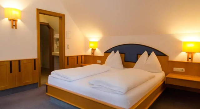 Номер Standard Gasthof-Hotel Goldenes Schiff