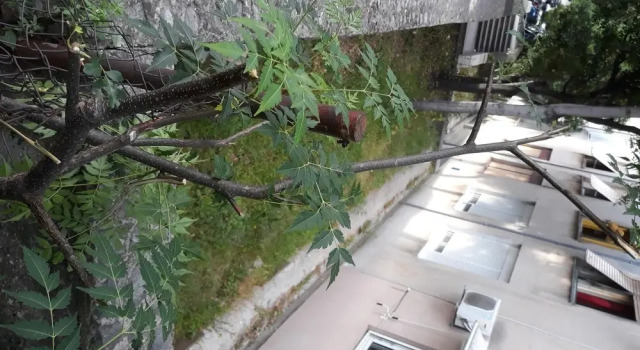 Apartment Marino, Prenota Appartamento Splitska 