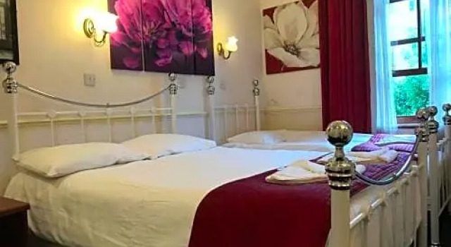 Четырёхместный номер Standard Springfield Hotel